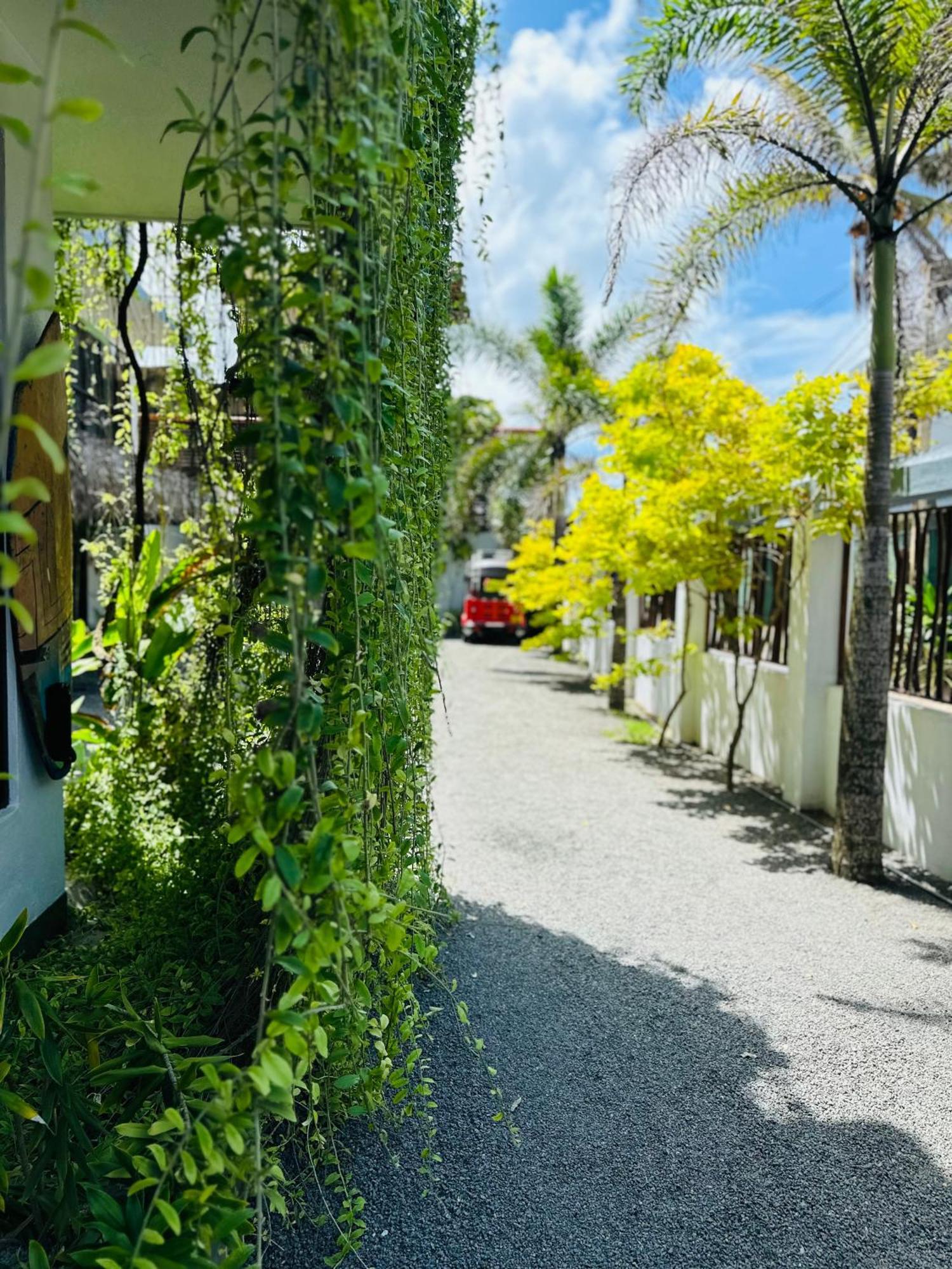 Cozy Sea View Inn Hikkaduwa Exterior foto